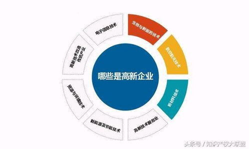 汶上县高企认证的好处是什么,地方补助多少